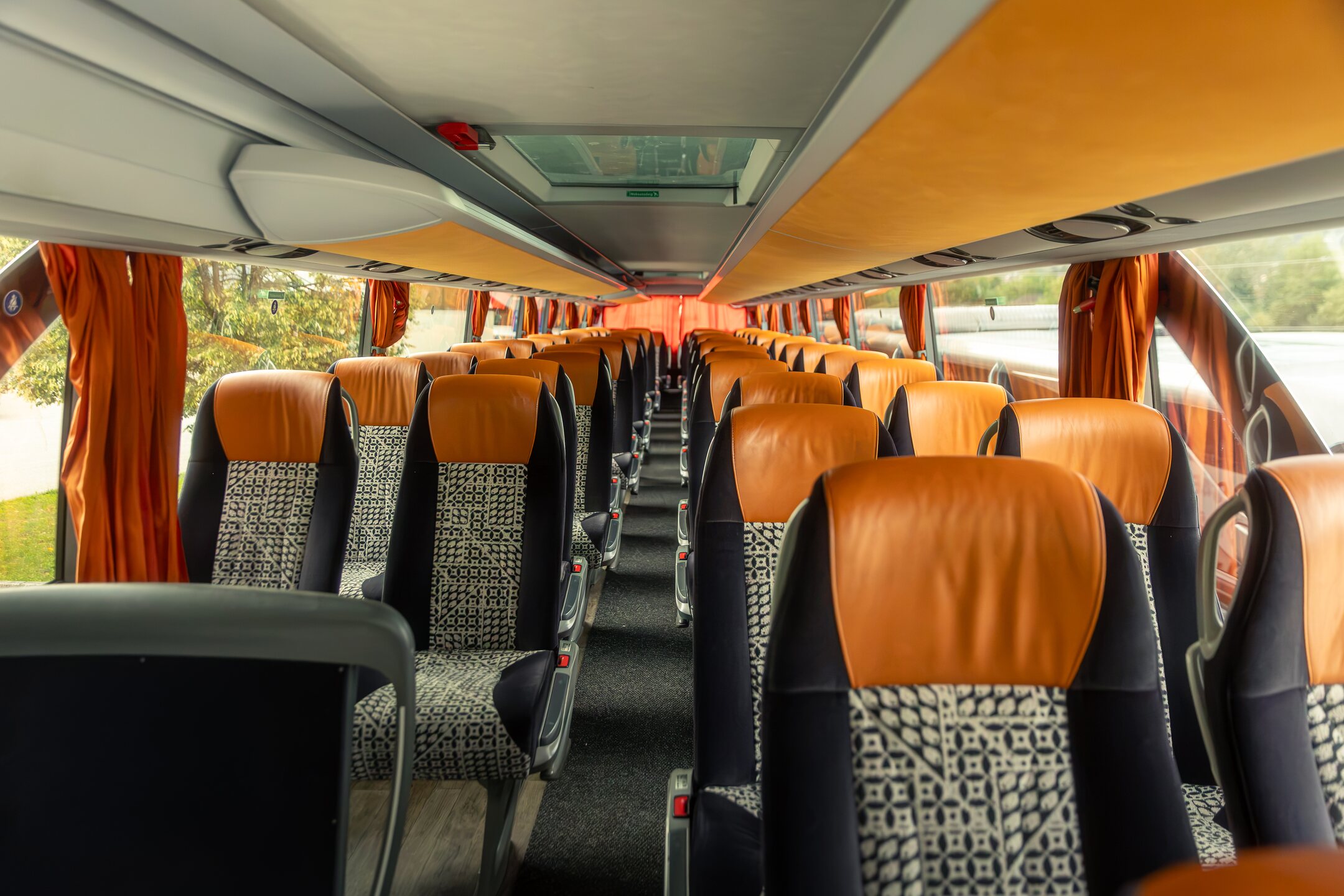 Interno di un pullman Gran Turismo Trentino Wild